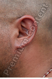 Street  713 ear 0001.jpg